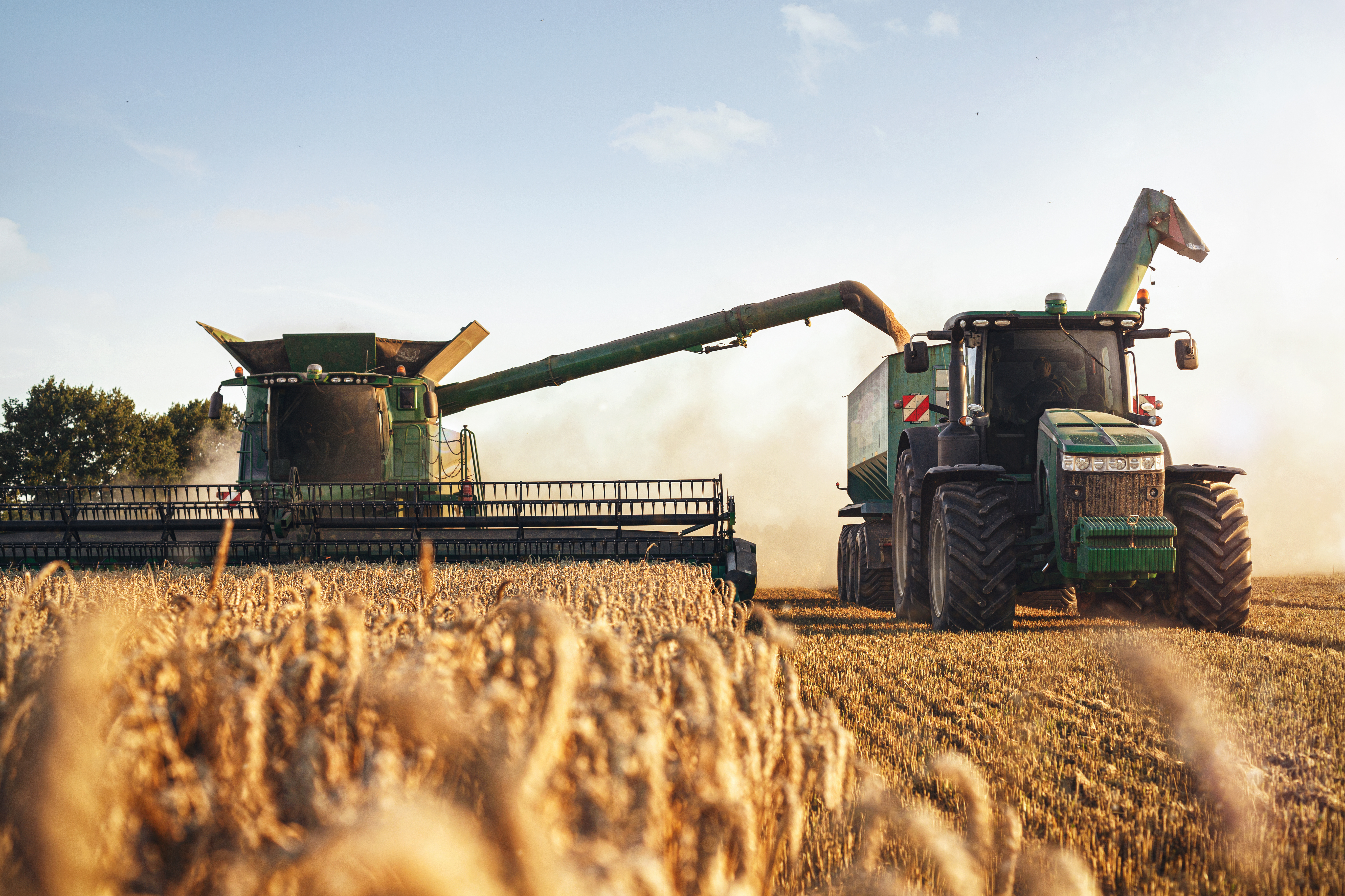 Agrar & Landwirtschaft